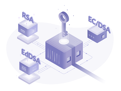 SSH Encryption Algorithms