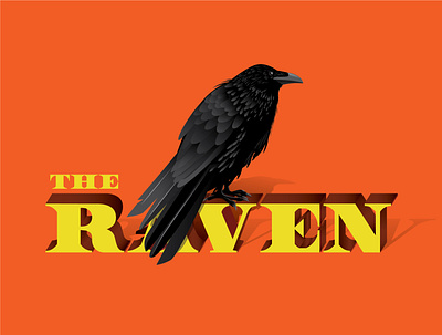 The Raven crow design digitalart graphicdesign halloween illustration illustrator raven vector