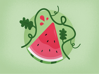 Watermelon Illustration design flat fruit fruity green illustration illustrator juicy leaves melon minimalist vector vines watermelon