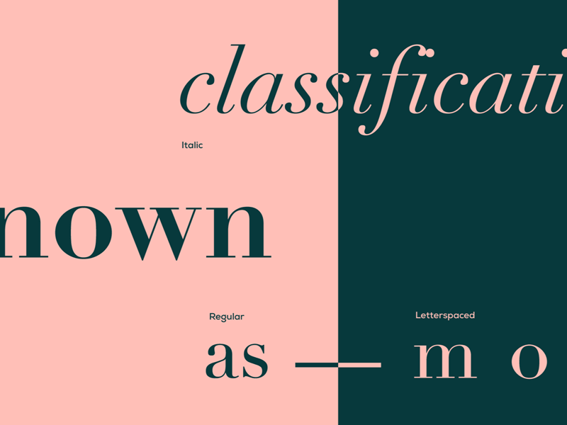 1. Didot — unfont (Type - Color - History & Wine)