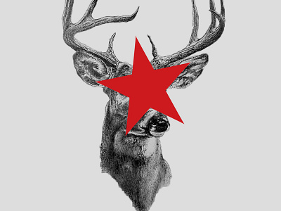 Hit a Deer deer star