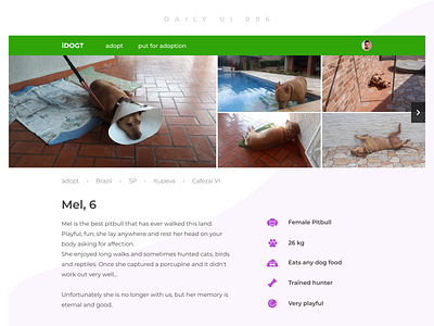 iDOGT | Daily UI Challenge 006