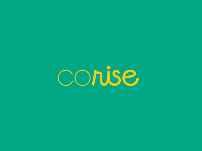 CoRise color flat design non profit script typography ui ux web design website