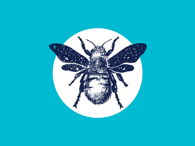Space Bee bee bran branding buzz design drawing honeybee icon illustration illustrator logo pen and ink procrate space vector