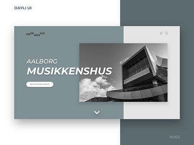 Dayliui #003 - Landing Page