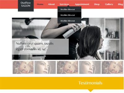 Salon Website Slider design orange slider website yellow