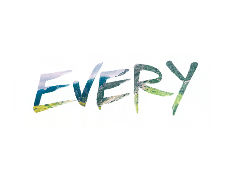 Every every type brush hand lettering hand type