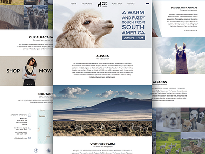 Alpaca Farm Website alpaca clean contacts farm map nordic website white