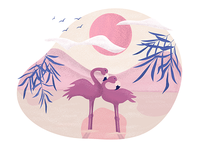 Flamingos animal birds cute flamingos illustration love pink sunset water