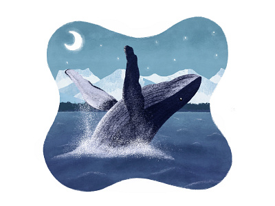 Humpback Whale art digital art drawingart illustration