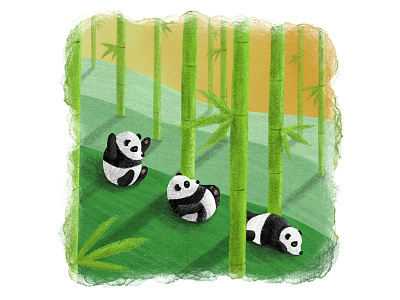 Panda Rolls art bamboo character characterdesign childrens book illustration cute design digital art fun illustration nature panda pencil drawing playful watercolour wildlife