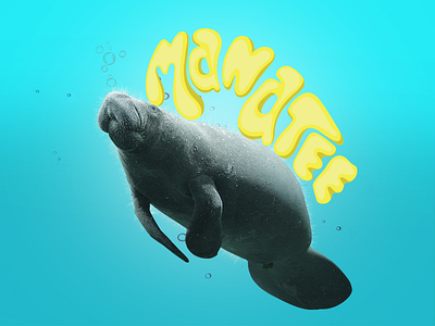 Manatee 2018 animal blue deep water forest mammals manatee sea sea cow singapore typography wrs
