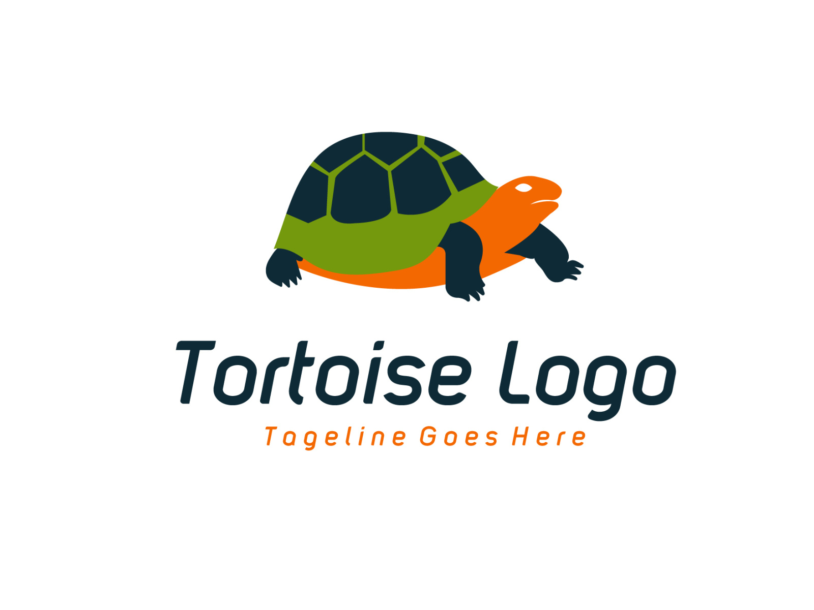 tortoise logo by NGISED on Dribbble