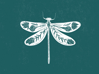 Hope Dragonfly design illustration logo montana wildflowers