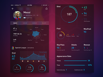 Soccer Player Data Page ui