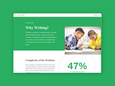 National Writing Project Website color design education gradient impact statistics ui website writers