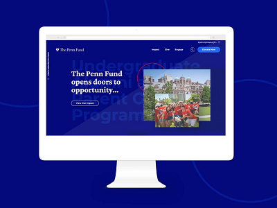 The Penn Fund Website academic design homepage typogaphy ui website