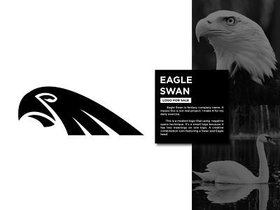 Eagle and Swan Logo animal art beauty bird branding creative creative design design eagle falcon fly force hawk icon illustration logo negative space swan ui vector