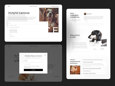 Dog grooming design ui uidesign ux ux design uxdesign web