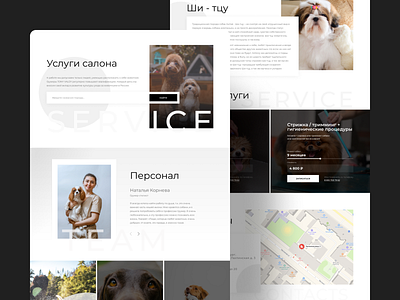 Dog grooming design ui uidesign ux ux design uxdesign web