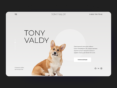 Dog grooming design ui uidesign ux ux design uxdesign web