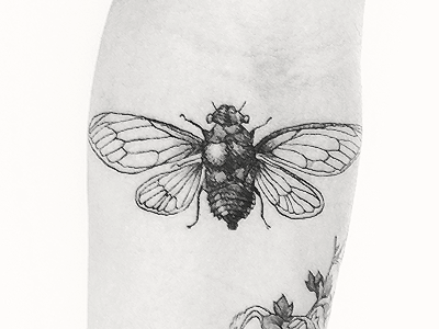 Insect Tattoos bee black cicada insect pointillism tattoo