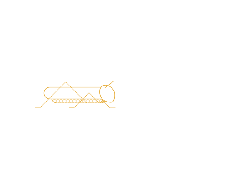 Locust & Wild Honey youtube 2d text honey animation bumper title intro reveal locust