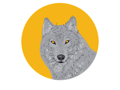 Vector wolf. illustration portrait vector vector art