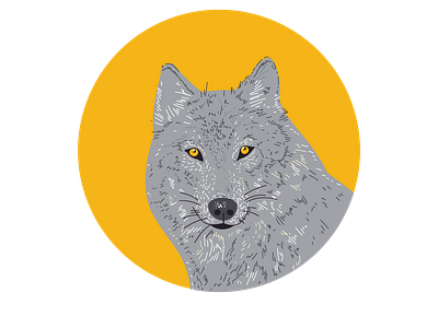 Vector wolf.