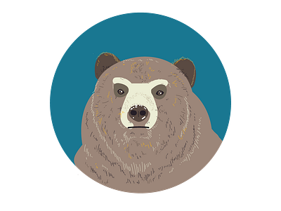 Vector Bear. illustration portrait vector vector art