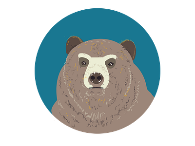 Vector Bear.