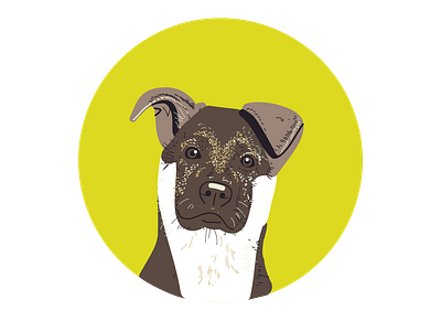 Vector Dog. illustration portrait vector vector art