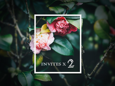 2 Dribbble Invites to Giveaway