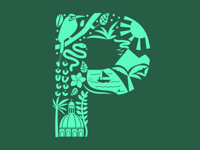 Today's Letter is the Letter P bird central america illustration latin logo nature nicaragua ocean plants sun tropical volcano