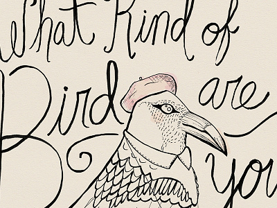 What Kind Of Bird Are You? animal bird hand lettering illustration ink drawing moonrise kingdom nevada raven wes anderson
