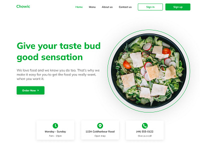 Chowic - Food delivery landing page