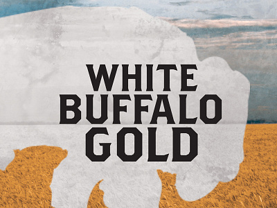 White Buffalo Gold Cover book book cover brother buffalo design gold graphic jordan a. kauffman texture white white buffalo gold