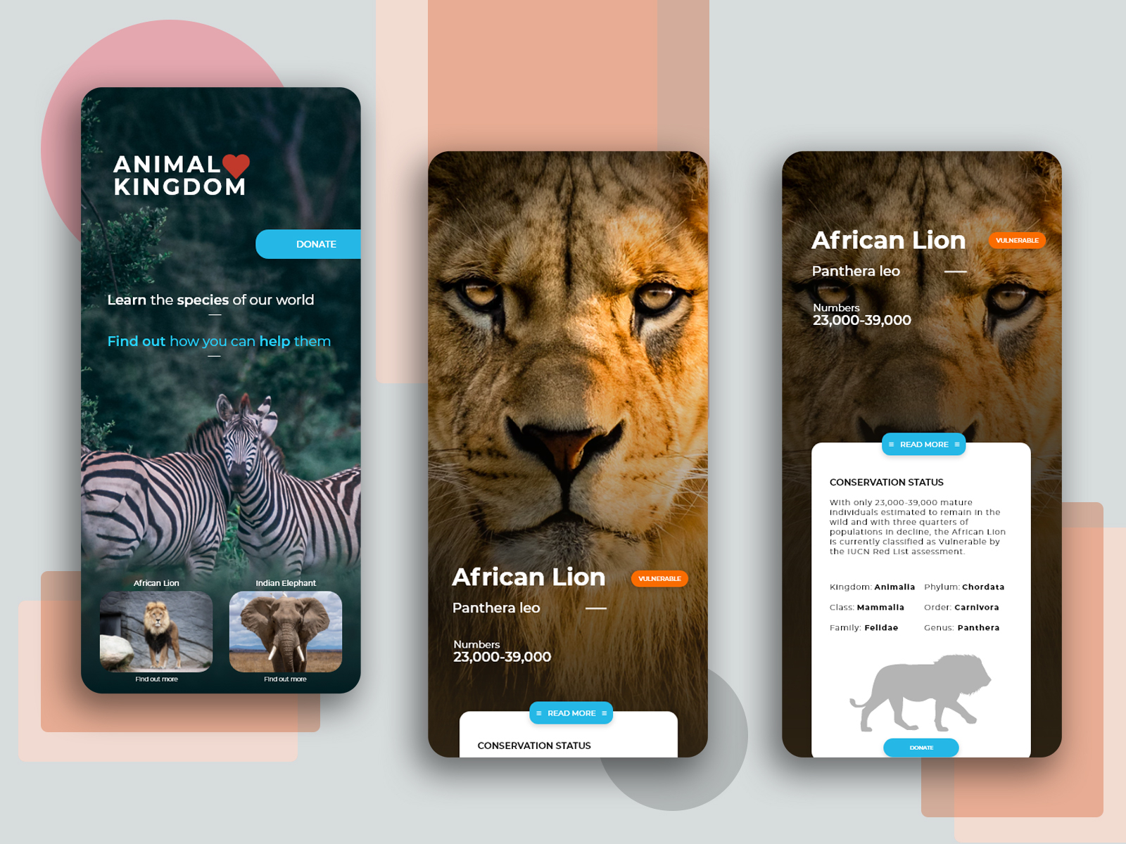 Animal App Design by Florin Marcu on Dribbble