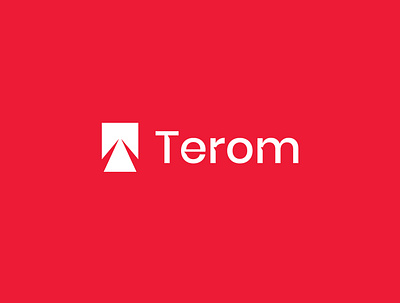 Terom brand identity branding design graphic design icon illustration logo