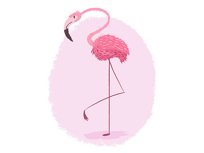 Flamingo animal bird flamingo illustration kids book picture book pink