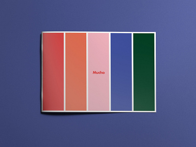 Mucho Design Studio Promo Book Cover atlanta book branding clean colorful design print typography