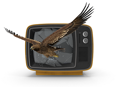 Eagle breaking the TV 3D illustration 3d illustration 3d rendering digital design photoshop