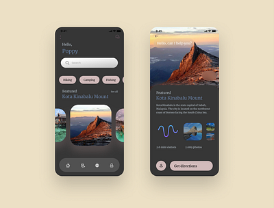 Find great attractions in nearby area application design ios mobile ui uiux ux