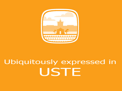 Uste arch of the century baha first shot flat flood manila thanks dribbble :) ust