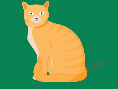 Orange Cat Illustration flat illustration vector