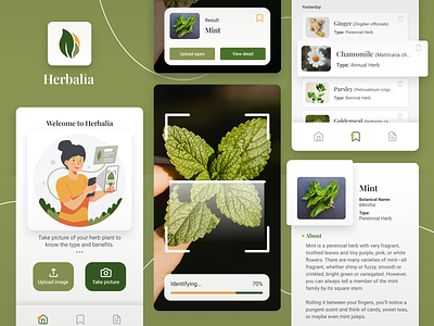 Herbalia, Herb Plant Detection App design detection app dribbble green herb illustration mobile mobile design mobile ui photo plant plant app scan ui user interface ux