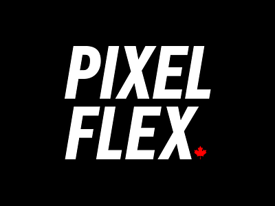P I X E L F L E X . V 2 branding design freelancer graphicdesign identity logo reboot rebrand wordmark