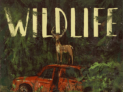Wildlife car deer forest illustration music wildlife
