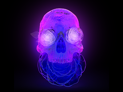 Deadly Flourish 3d abstract creative design hello dribbble render rosses skull wallpaper