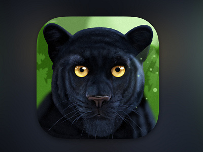 Panther app icon